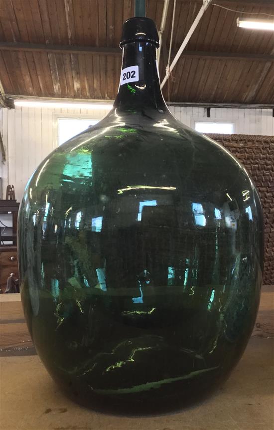 Early 20th century large green glass globe for growing tropical plants in